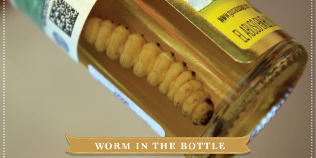 worm in the bottle